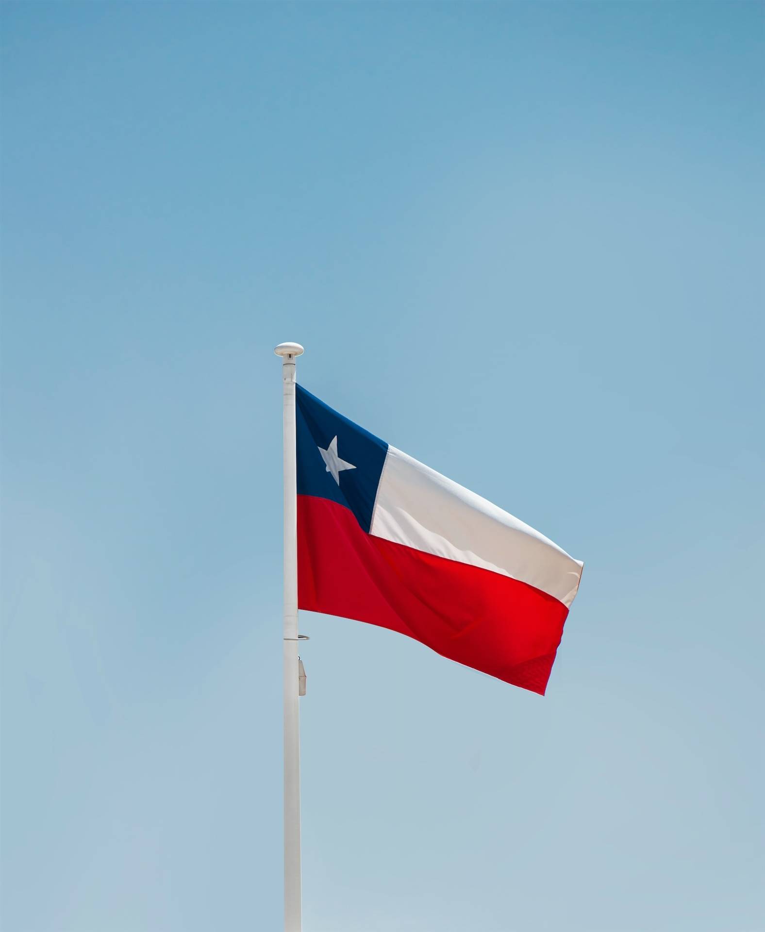 Chile tem registrado queda na produção de leite