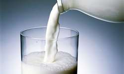Entenda as diferenças nos tipos de leite fluido no Brasil