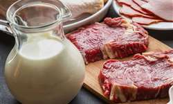 FAO: Índice de Preços dos Alimentos reflete queda dos lácteos