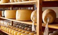 Interferência do sal e da embalagem na maturação de queijos