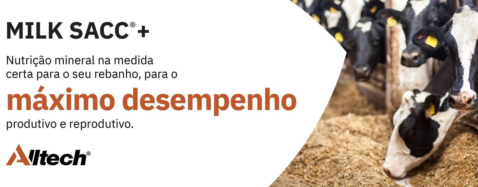 E se a seletividade das vacas por alimentos for o fator de redução no desempenho?