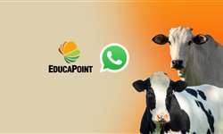 Participe do grupo do EducaPoint no WhatsApp!