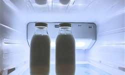 Por que o leite congela a uma temperatura mais baixa que a água?