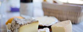 Desafios e benefícios para qualidade e segurança na produção de queijos artesanais