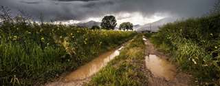 RS: mais de 70 mil propriedades rurais afetadas pelas chuvas