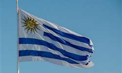Uruguai: exportações de leite em pó atingirão US$ 570 milhões
