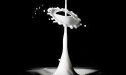Comissão aprova projeto de lei que veta benefício fiscal a importadores de lácteos