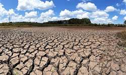 Pacote de medidas para regiões afetadas pela seca deve ser anunciado