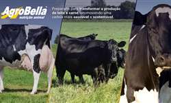 AgroBella inova e vai transformar a nutrição animal