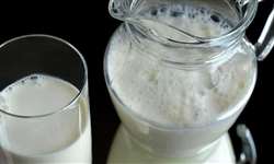 MG: produtores jogam fora mais de 5 mil litros de leite