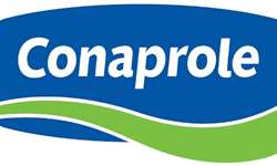 Conaprole se posicionou como líder em exportação em 2023