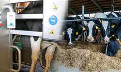 Fluxos em fazendas leiteiras: entenda os diferentes sistemas