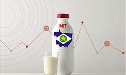 Conseleite/MT divulga valor de referência do leite a ser pago em fevereiro