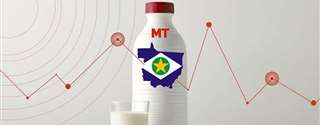 Conseleite/MT divulga valor de referência do leite a ser pago em fevereiro