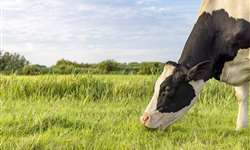 Emater/RS emite relatório conjuntural do setor leiteiro