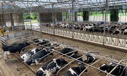 UFLA é referência em modernização da produção de leite