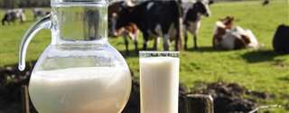 Goiás: medidas favoráveis ao produtor de leite são anunciadas