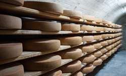 Como foi feita a avaliação dos queijos e produtos lácteos premiados como melhores do mundo?