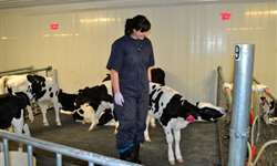 Identificação de animais doentes em bezerreiros coletivos com auxilio de testes de abordagem
