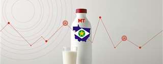 Conseleite/MT divulga variação de 2,3% para leite pago em maio