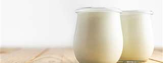 Valor proteico e tratamentos para reduzir a antigenicidade de bebidas lácteas