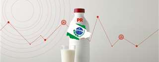 Conseleite/PR projeta variação de 7,83% no valor do leite a ser pago em junho