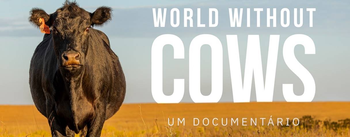 Para você, o que aconteceria em um mundo sem vacas?