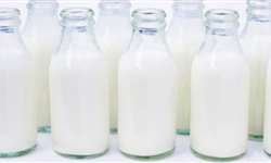 SC: Mercado de leite aquecido