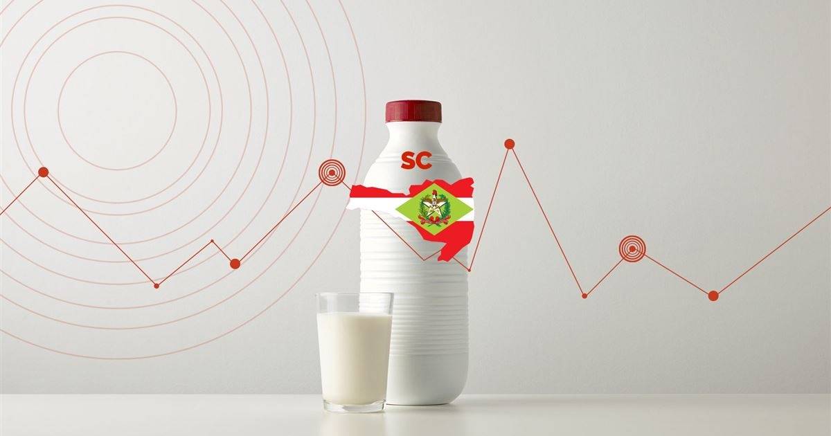 Conseleite/SC projeta valor de referência do leite a ser pago em maio/26