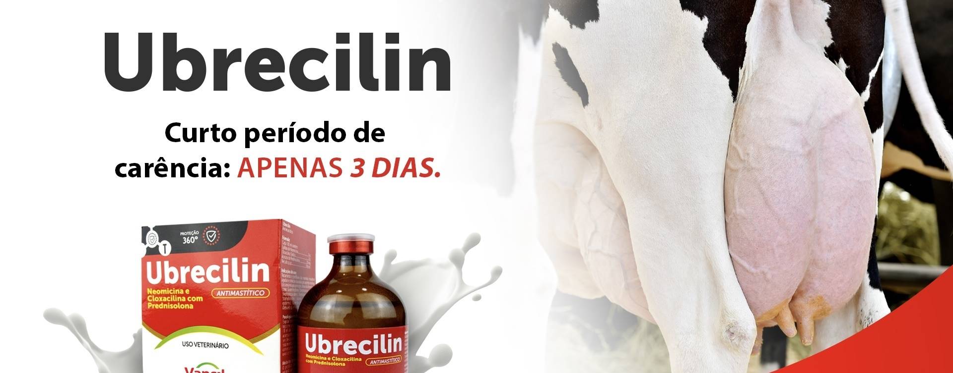 Mastite, o prejuízo silencioso que compromete a produtividade no leite