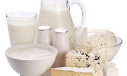 Probióticos em lácteos: Melhor impossível