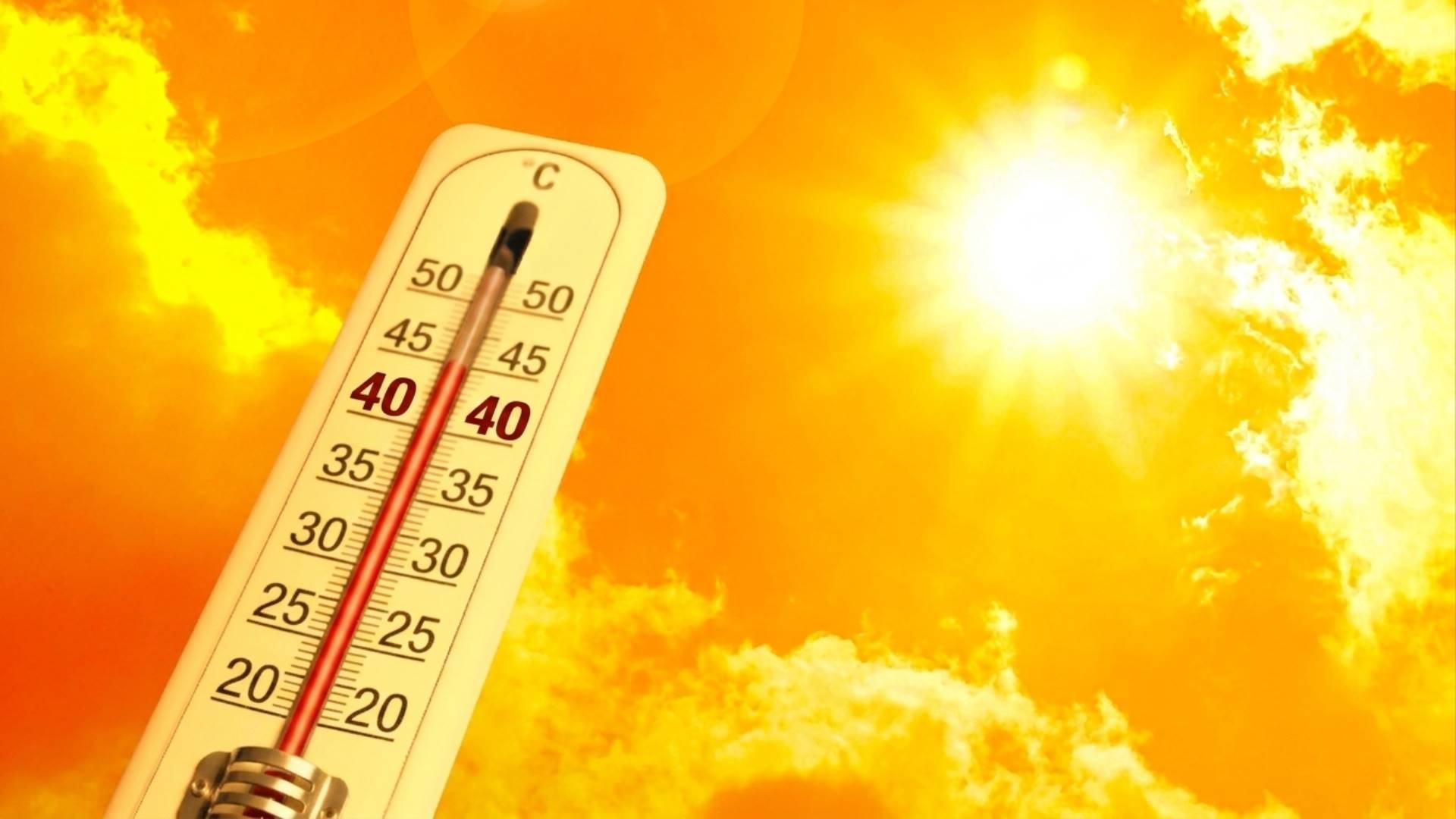 Onda de calor na Europa: recorde de temperaturas e os impactos na indústria leiteira local