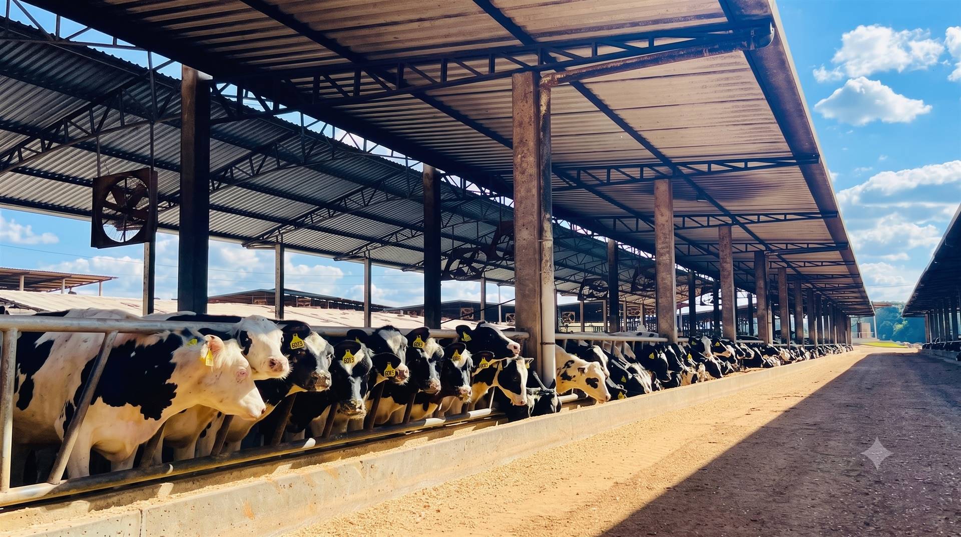 Gestão baseada em pessoas, dados e coragem impulsiona expansão da Fazenda Figueiredo Riacho
