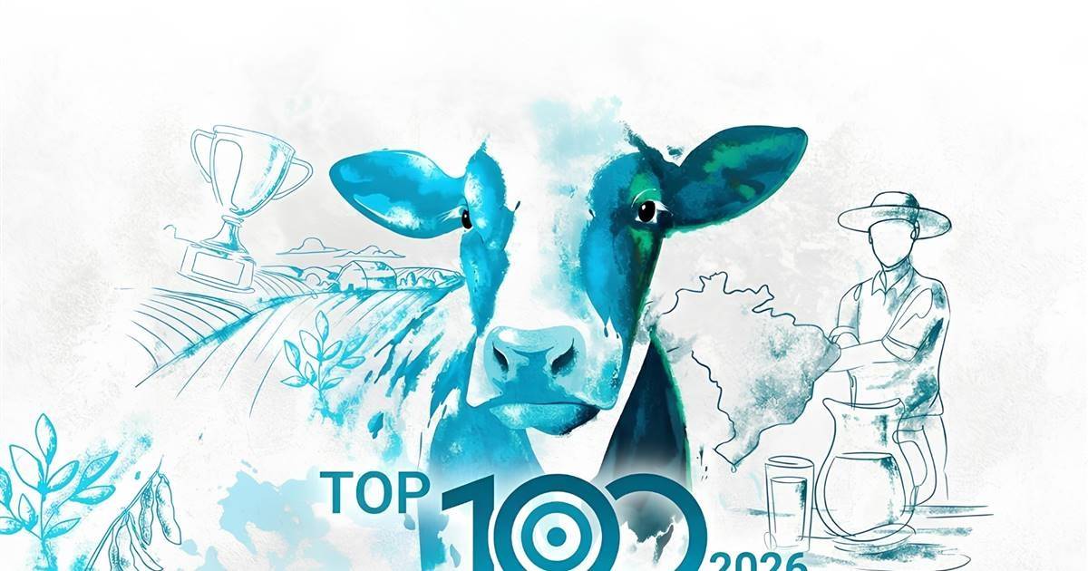 Top 100 produtores apontam percepções diversas sobre a viabilidade financeira