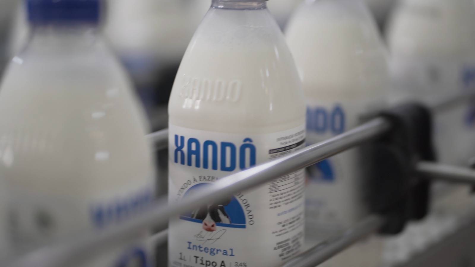 Leites refrigerados ajudam a aumentar frequência de compras no varejo paulista, aponta estudo