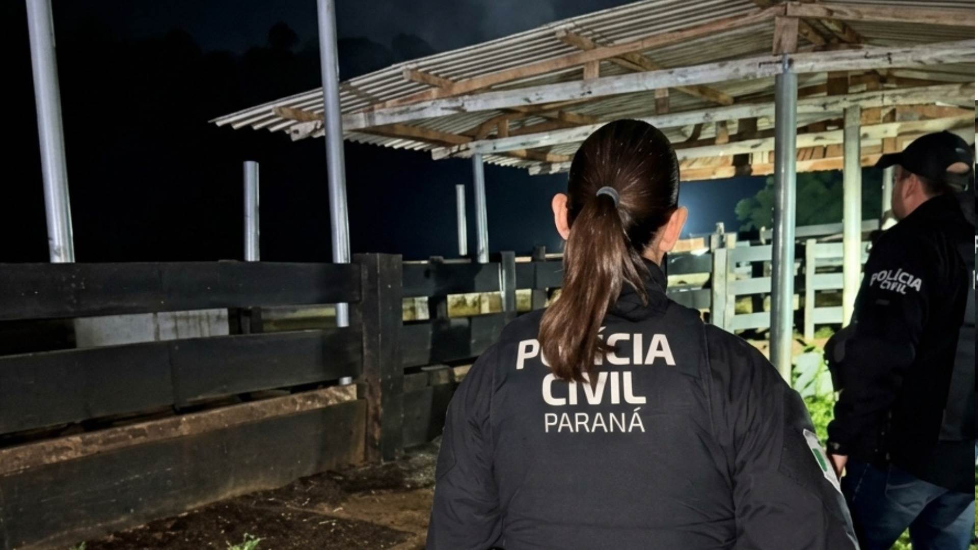 Grupo que furtou 2 mil cabeças de gado é alvo de megaoperação policial no Paraná