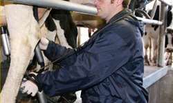 Assistência técnica visando o desempenho econômico de fazendas leiteiras
