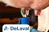 DeLaval apresenta novidades em seu portfólio de produtos para qualidade de leite