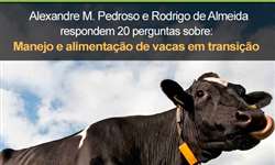 Acesse E-book com 20 perguntas e respostas sobre manejo e alimentação de vacas em transição
