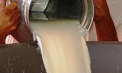 GO: produtor que perdeu leite por falta de energia será indenizado