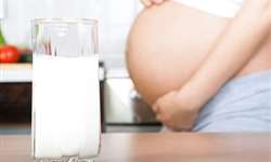 Beber leite na gravidez: filhos mais altos e com QI mais elevado
