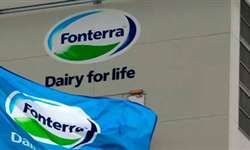Fonterra está "explorando mercado" em busca de novas fontes de soro de leite europeu