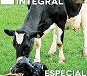 Revista Leite Integral: Conforto e bem-estar de vacas em período de transição