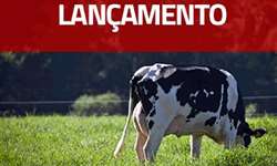 Lançamento: Curso Online "Sanidade e Monitoramento de Vacas em Transição" com Ricardo Chebel