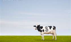 Como calcular  e interpretar os custos de produção de leite?