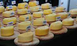 MG: queijo artesanal da região da Canastra é escolhido o melhor do estado
