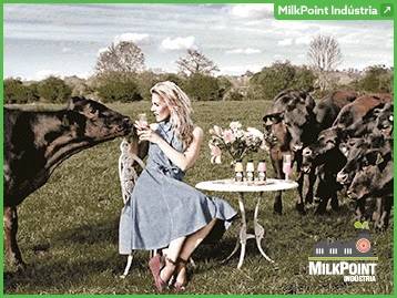 No MilkPoint indústria: Inovação em lácteos - estamos muito atrás!