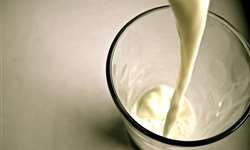 O Brasil vai ser mesmo exportador de lácteos?
