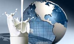 Mais de 100 empresas do setor lácteo contam com serviço online de acompanhamento do Mercado Lácteo