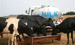 Transporte de leite no Brasil: avanços, desafios e tendências
